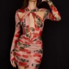 Adanna Rose Print Corset Mini Dress