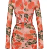 Adanna Rose Print Corset Mini Dress