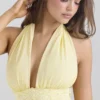 Ailani Butter Yellow Georgette Halter Neck Mini Dress