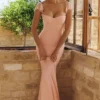 Antonella Peach Mesh Silhouette Maxi Dress