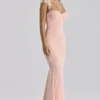 Antonella Peach Mesh Silhouette Maxi Dress