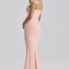 Antonella Peach Mesh Silhouette Maxi Dress