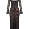 Artemis Black Lace Maxi Dress