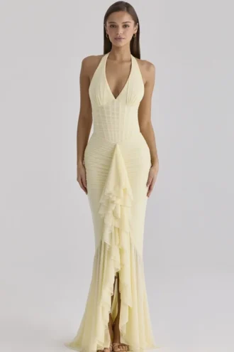 Carmine Lemon Mesh Silhouette Maxi Dress