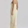 Carmine Lemon Mesh Silhouette Maxi Dress