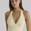 Carmine Lemon Mesh Silhouette Maxi Dress