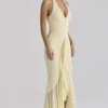 Carmine Lemon Mesh Silhouette Maxi Dress