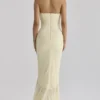 Carmine Lemon Mesh Silhouette Maxi Dress