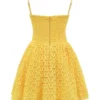 Carolina Apricot Lace Corset Mini Dress