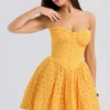 Carolina Apricot Lace Corset Mini Dress