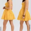 Carolina Apricot Lace Corset Mini Dress