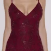 Catarina Wine Hand-Beaded Embellished Mini Dress – Limited Edition