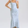 Cesca Bluebell Floral Maxi Dress