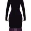 Dahna Dark Purple Velvet Corset Dress
