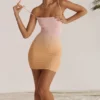 Deva Ombre Mini Dress