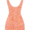 Faena Sorbet Plunge Floral Appliqué Mini Dress