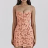 Ilayda Sorbet Embroidered Floral Lace Mini Dress