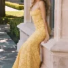 Joan Apricot Lace Up Back Maxi Dress