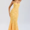 Joan Apricot Lace Up Back Maxi Dress