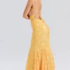 Joan Apricot Lace Up Back Maxi Dress