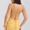 Joan Apricot Lace Up Back Maxi Dress