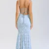 Joan Bluebell Lace Up Back Maxi Dress