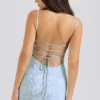 Joan Bluebell Lace Up Back Maxi Dress