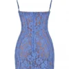 Lala Lavender Lace Mini Dress