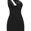 Lily Black Lace Mini Dress