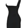 Lily Black Lace Mini Dress