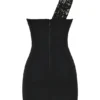 Lily Black Lace Mini Dress