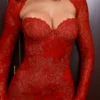 Lucienne Red Lace Embroidered Maxi Dress – Limited Edition