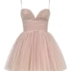 Princess French Rose Tulle Mini Dress