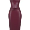 Raven Mulberry Vegan Leather Corset Dress