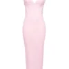 Romy Pink Mesh Bodycon Maxi Dress