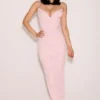 Romy Pink Mesh Bodycon Maxi Dress