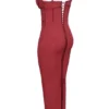 Romy Wine Mesh Bodycon Maxi Dress