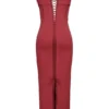 Romy Wine Mesh Bodycon Maxi Dress