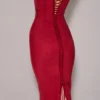 Romy Wine Mesh Bodycon Maxi Dress