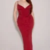 Romy Wine Mesh Bodycon Maxi Dress