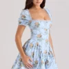 Rosie Blue Rose Print Cotton Mini Dress