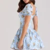 Rosie Blue Rose Print Cotton Mini Dress