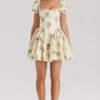 Rosie Lemon Rose Print Cotton Mini Dress