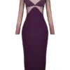 Safiya Black Grape Maxi Dress