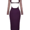 Safiya Black Grape Maxi Dress