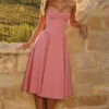 Samaria Raspberry Cotton Twill Corset Midi Dress