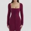 Selene Berry Bodycon Mini Dress