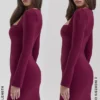 Selene Berry Bodycon Mini Dress