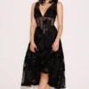 Sianna Black Embroidered Tulle Corset Midi Dress