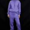 Halo Purple Cotton Fleece-Back Oversized Hoodie